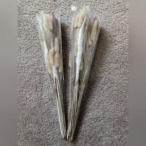 Neutral Dried Bunny Tail Grass Bunches